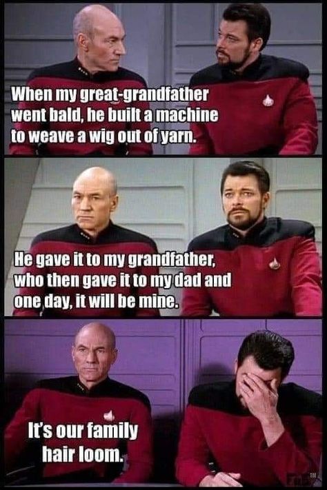 Star Trek Jokes, Bad Dad Jokes, Punny Jokes, Funny Art History, Funny Test, Terrible Jokes, Cheesy Jokes, Star Trek Funny, Clean Funny Jokes