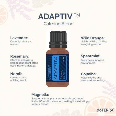 Essential Oils Video, Doterra Blends, Essential Oil Education, Essential Oil Companies, Doterra Essential Oils Recipes, What Are Essential Oils, Wild Orange, Essential Oil Diffuser Blends, Doterra Oils