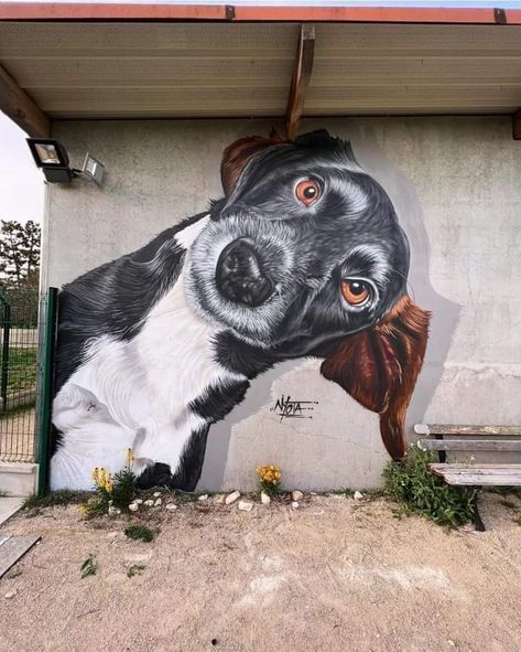 Dog Mural, Mural Ideas, Diy Dog, Dog Kennel, Diy Dog Stuff, Dog House, Dog Stuff, Urban Art, Pet Shop