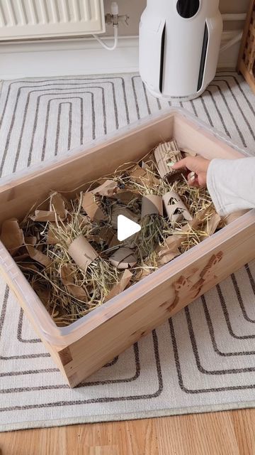 Rabbit Dig Box Ideas Diy, Diy Rabbit Playpen, Digging Box For Rabbits, Dig Box For Rabbit, Bunny Hideout Diy, Bunny Dig Box Ideas, Bunny Enrichment Ideas, Bunny Digging Box Diy, Rabbit Enrichment Ideas