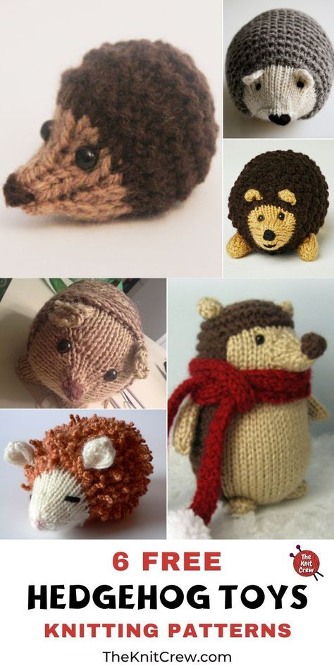 6 Free Knitted Hedgehog Toy Patterns. These Free Knitted Hedgehog Toy Patterns are curated by The Knit Crew. Knitted Hedgehog, Hedgehog Toys, Toy Knitting Patterns, Knitting Bear, Hedgehog Pattern, Crochet Hedgehog, Easy Amigurumi Pattern, Knitted Doll Patterns, Animal Knitting Patterns