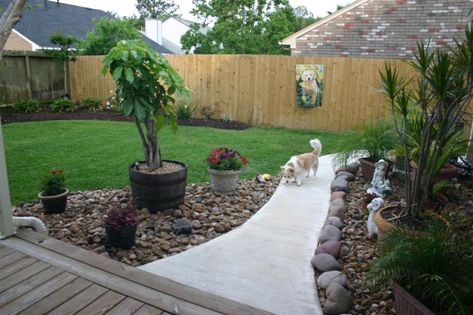 Beautiful Back Yard Dog Run Yard, Dog Yard Landscaping, Lap Pools Backyard, Dog Backyard, Patio Lanterns, Dog Yard, Small Front Yard, Dog Garden, Beautiful Yards