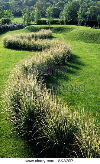 Lawn Turf, Grasses Garden, Classic Garden, Have Inspiration, Ornamental Grasses, Garden Spaces, Plant Design, The Grass, Dream Garden