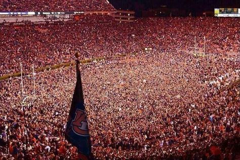 2013 Iron Bowl! "They're not gonna keep 'em off the field tonight!" Auburn Ideas, Auburn Tigers Football, Iron Bowl, Sec Football, Auburn Football, Football History, Tiger Football, Free Football, Auburn University