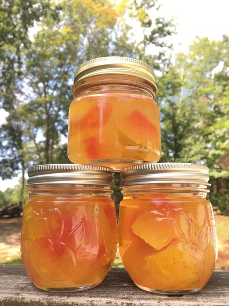 Watermelon Preserves Recipe, Preserve Watermelon, Watermelon Preserves, Watermelon Rind Preserves, Pickled Watermelon Rind Recipe, Watermelon Rind Recipes, Watermelon Jam, Pickled Watermelon Rind, Watermelon Pickles