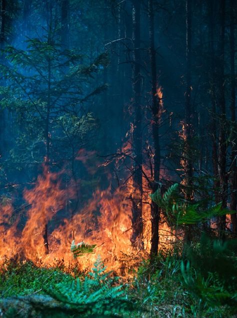 As the East Coast continues to recover from Hurricane Sandy, we are regularly reminded of the immense powers that nature can have on our modern world. When Wildland Firefighting, Fire Aesthetic, Wildland Fire, California Wildfires, Fire Equipment, Pastel Sec, Wild Fire, Fire Signs, Forest Fire