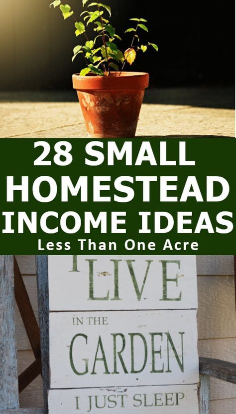 Don't own a small farm or animals but looking for ways to make money homesteading?  This is the best list of 28 simple ways to make an income from a small urban homestead. Make Money Homesteading, Suburban Homestead, Creative Ways To Make Money, Urban Homestead, Homesteading Ideas, Homesteading Diy, Diy Herb Garden, Homestead Gardens, Homesteading Skills