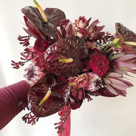 My shirt matched the bouquet this morning and I didn't even plan it! Can you tell I love burgundy? Can't wait to see how @samanthasuzannephotography captures this at @spruceweddingrentals new warehouse space. Love this dark and moody vibe! Moody Wedding Flowers, Red Flower Arrangements, Burgundy Aesthetic, Enchanted Flowers, Warehouse Space, Burgundy Bouquet, Red Bouquet, Dark And Moody, Burgundy Flowers