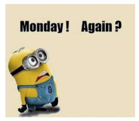 50 Of The Best Monday Quotes And Images To Love And Share Wacky Quotes, Minion Memes, Minion Mayhem, Minions 1, Minions Humor, Funny Minion Memes, Blessed Week, Minion Pictures, Minion Jokes