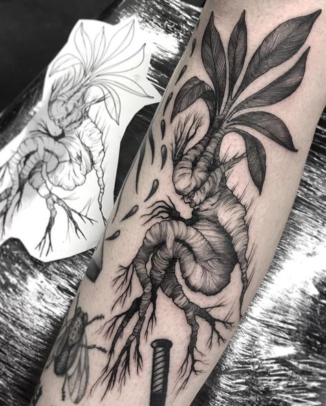 Mandrake Tattoo Design, Urban Legend Tattoo, Mandrake Drawing, Botanical Back Tattoo, Monster Tattoo Ideas, Mandrake Tattoo, Spooky Flash, Drake Tattoos, Horror Queen