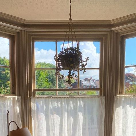 Anna on Instagram: "Cafe curtains! I made these from gauzy Irish linen from @eastlondoncloth, they give us a bit of privacy and let a lovely soft light through 💫  . . . . . . #sewing #sewingproject #imadethis  #interiors #interiordesign #edwardianterrace #edwardianhome #renovateandrevamp #artsandcraftshome #periodhome #perioddetails #originalfeatures #storyofmyhome #howihome #inspiration #edwardianhouse #sussexhome #myhousebeautiful #artsandcrafts #periodhomesofinsta #edwardianhomestyle #timothyoulton #timothyoultonstudio #handmade #curtains #cafecurtains #sewistsofinstagram" Cafe Curtains Bay Window, Curtains Bay Window, Bay Window Dressing, Kitchen Bay Window, Instagram Cafe, Bay Window Curtains, Half Curtains, Handmade Curtains, Edwardian House