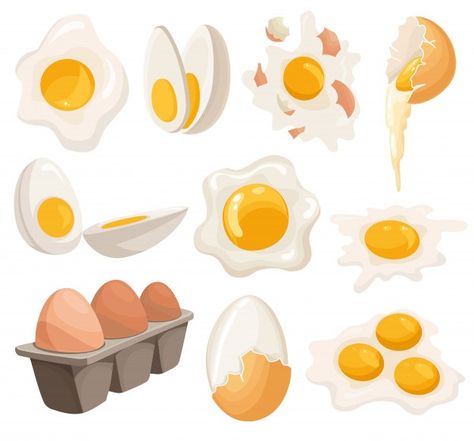 Egg Vector, Huevos Fritos, Cracked Egg, Free Cartoons, Cute Animals Images, Egg Art, Chicken Eggs, Egg Shape, Egg Recipes