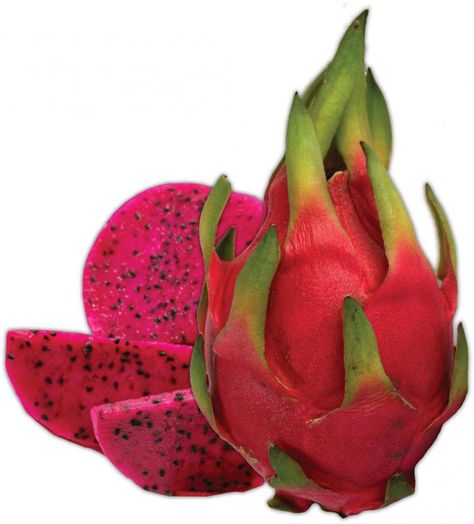 Dragon fruit Dragon Fruit Varieties, Como Plantar Pitaya, Dragon Fruit Cactus, Png Collage, B2 Vitamin, Pitaya Fruit, Dragon Fruit Pitaya, Buah Naga, White Bg