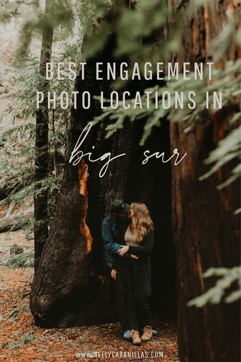 Engagement Photos Big Sur, Big Sur Photoshoot, Big Sur Engagement Photos, Big Trees California, Mcway Falls Big Sur, Save The Date Pictures, Big Sur Elopement, Mcway Falls, Photo Dream