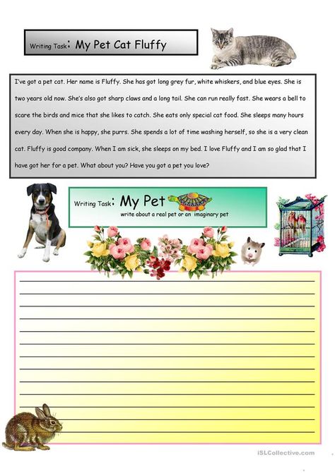 3rd Grade Reading Comprehension Worksheets, Synthesis Essay, Esl Writing, Building Sentences, Writing Story, Introduction Paragraph, English Project, Narrative Story, Writing Sheets