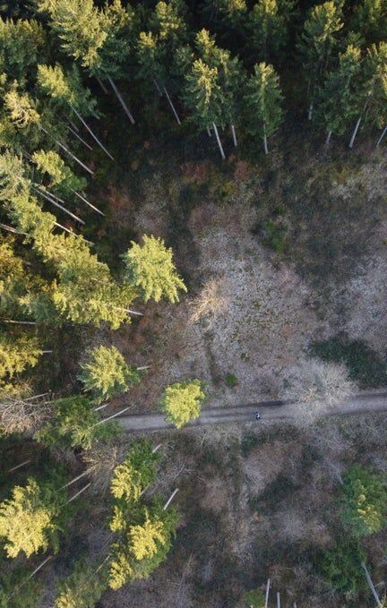 Forest From Above Drawing, Forest From Above, Forest Background, Altered Images, Unique Photography, Nature Tree, Birds Eye View, Photography Techniques, Lino Print