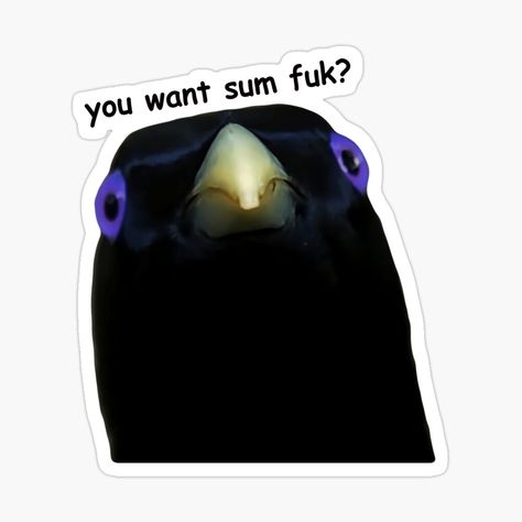 Get my art printed on awesome products. Support me at Redbubble #RBandME: https://www.redbubble.com/i/sticker/You-Want-Sum-Fuk-Meme-Lemme-Smash-Bird-by-fomodesigns/153821914.EJUG5?asc=u Lemme Smash, Bird Meme, Meme Design, Animal Memes, Phone Covers, Trending Topics, Dankest Memes, My Art, Awesome Products