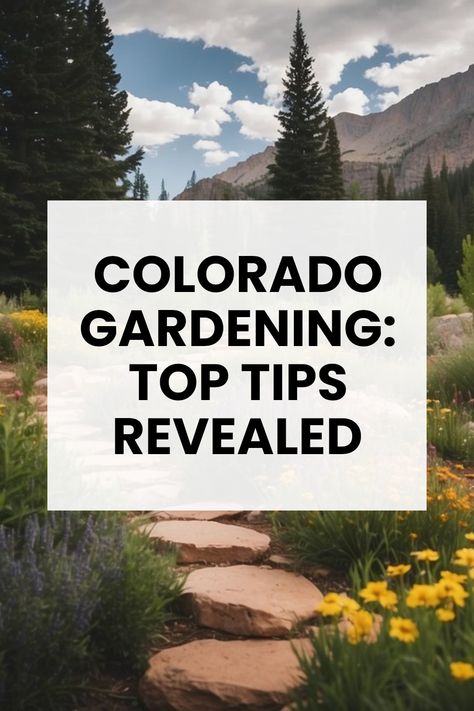 If you want your backyard in Colorado to look awesome, you better try some fun gardening ideas! Think bright wildflowers and tall pine trees next to bubbling streams. Learn about cool native plants that thrive in the high altitude and varied climate of Colorado. Get tips for creating a colorful, inviting space perfect for enjoying nature. Want to impress your friends with crazy gorgeous flowers and special trees? Start your gardening journey to brighten up your Colorado outdoor experience. You've gotta check this out! Gardening In Colorado, Colorado Gardening, Colorado Garden, Tall Pine Trees, Alpine Garden, Enjoying Nature, Thriving Garden, Organic Soil, Healthy Garden