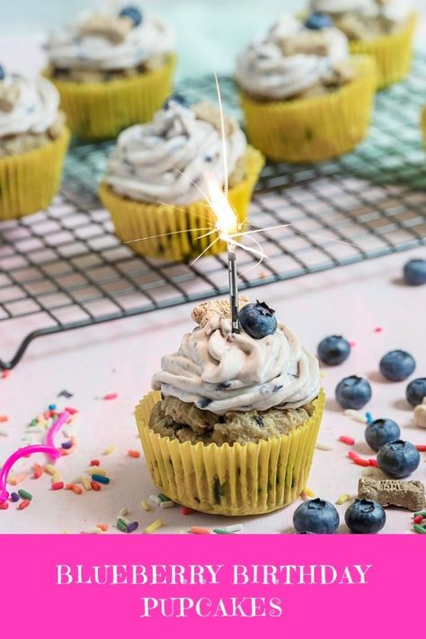 Cupcakes For Dogs, Blueberry Cream Cheese Frosting, Cupcakes For Dogs Recipe, Blueberry Birthday, Dog Cake Recipes, Healthy Cupcakes, Dog Cupcakes, Blueberry Cupcakes, Healthy Dog Treats Homemade