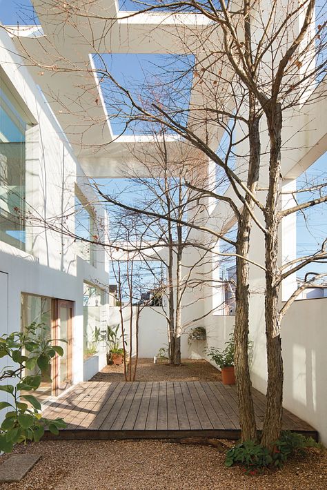 The courtyard of House N (2008), in Oita. The architect Sou Fujimoto has become known for his adventurous designs.Credit...Benjamin Hosking Greenwich Village Apartment, Lebbeus Woods, Eclectic Homes, Sou Fujimoto, Eclectic Farmhouse, Indoor Gardens, Classical Architecture, Wooden House, Beautiful Architecture