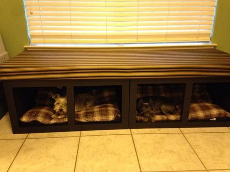 Of course, who needs storage under the bench when you could just add dog beds.  Dog on the right even looks like Chester. Dog Bed Bench, Dog Window Seat, Bed Window Seat, Diy Window Seat, Bed Window, Crate Bench, Dog Bedding, Townhouse Ideas, Diy Cat Bed