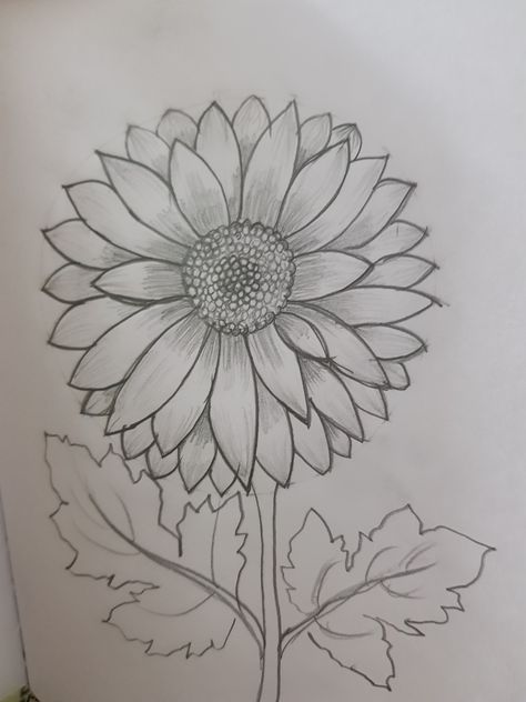 Easy and beautiful dahlia pencil drawing Sun Flower Drawing Simple, Sun Flowers Drawing, Sunflower Drawing Pencil, Mothers Day Drawings Easy, Dahlia Drawing, Rose Flowers Drawing, Decoration Craft Ideas, Sketch Rose, Pot Drawing