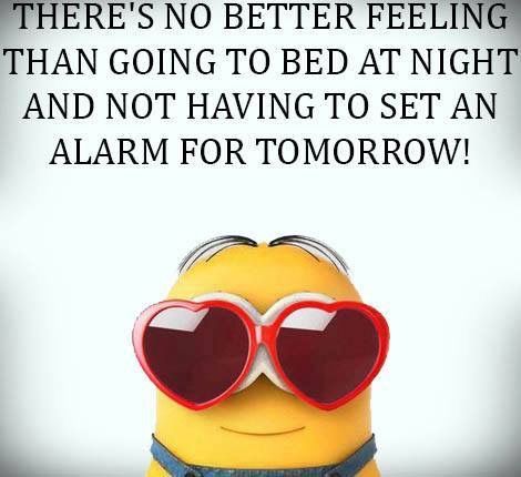 Funny Minion Pictures, Funny Minion Memes, Minion Pictures, Minion Jokes, Minions Love, A Minion, Work Tomorrow, Minion Quotes, Funny Minion Quotes