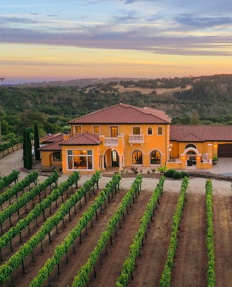 Vineyard House California, Mexican Mansion, Winery Architecture, Wineries Architecture, Vineyard Estate, Vineyard House, Luxury Ranch, Business Aesthetic, Farm Layout