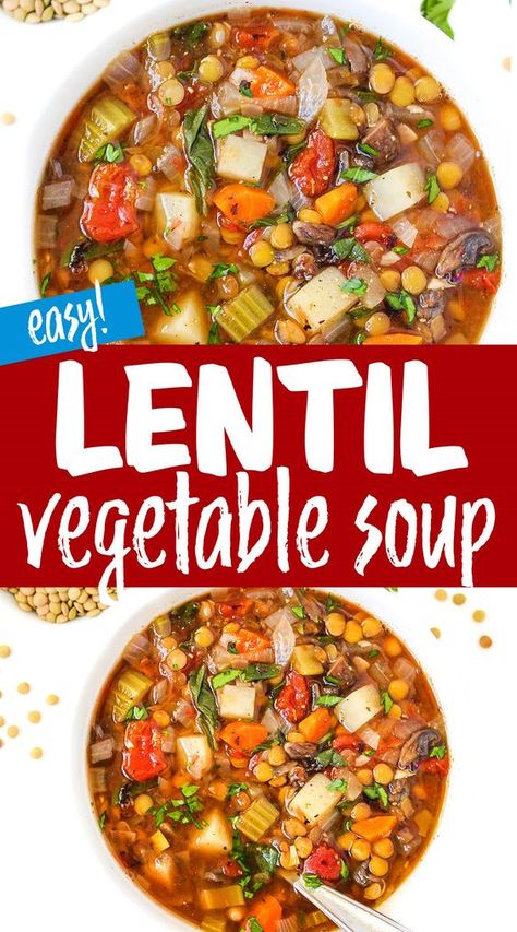 Lentil Vegetable Soup (Easy!) Veggie Lentil Soup Crock Pot, Italian Vegetable Lentil Soup, Vegetable Lentil Soup Recipe Crockpot, Lentil Veggie Soup Recipe, Vegetable Soup Lentil, Easy Lentil Vegetable Soup, Veg Lentil Soup Recipes, Jewish Lentil Soup Recipe, Lentil Soup With Vegetables