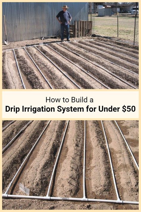 Raised Bed Drip Irrigation System, Cheap Irrigation System, Simple Irrigation Ideas, Garden Water Systems Drip Irrigation, Large Garden Irrigation Ideas Diy, Easy Irrigation System Diy, Pvc Irrigation For Garden, Raised Garden Bed Irrigation Diy, Raised Garden Irrigation Ideas