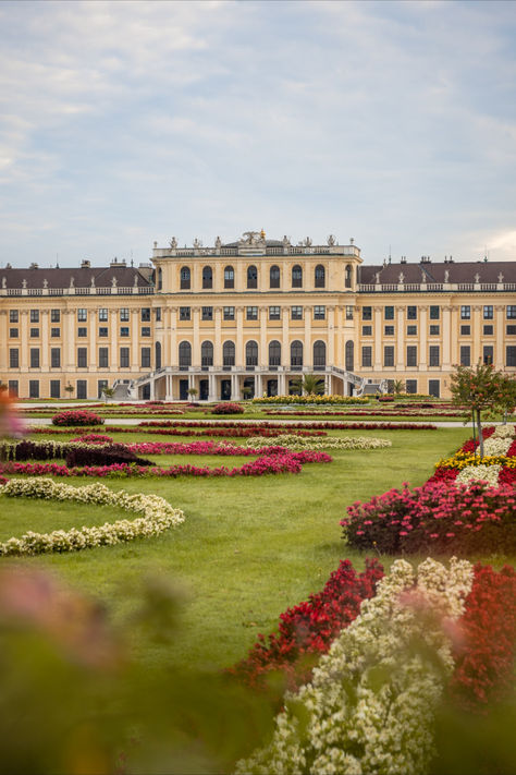 Schonbrunn Palace Aesthetic, Vienna Palace, Schonbrunn Palace, Vienna Christmas, Franz Joseph, Schönbrunn Palace, Maria Theresa, Watercolour Inspiration, Basic Design