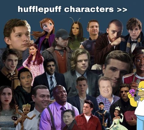 Hufflepuff Characters, Hufflepuff Pride, Hufflepuff House, Proud To Be, Cartoon Characters, Harry Potter, Memes, Fictional Characters