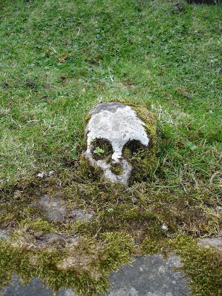 Holy Rood, Stirlingshire Vulture Culture, Old Cemeteries, Cemetery Art, Arte Robot, Arte Obscura, R P, A Skull, Six Feet Under, Arte Horror