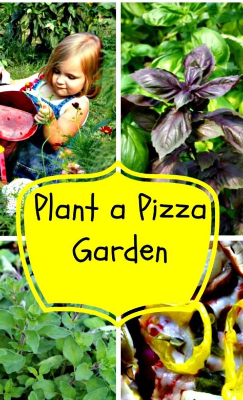 Easy School Garden Ideas, Classroom Greenhouse, Preschool Garden Ideas, Kids Gardening Ideas, Preschool Pizza, Pizza Garden, Vegetable Garden Layout, Garden Pizza, Horticulture Therapy