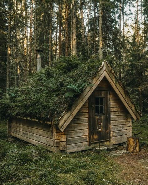 Hut in the woods Swedish Cabin, Casa Hobbit, Wooden Cabin, Forest Cabin, Living Roofs, Tiny Cabins, Little Cabin, Rustic Cottage, Small Cabin