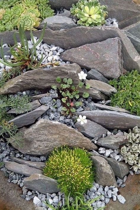 Garden With Succulents, Rockery Garden, Alpine Garden, Rock Garden Design, Rock Garden Landscaping, Landscaping With Rocks, Small Gardens, Succulents Garden, Shade Garden