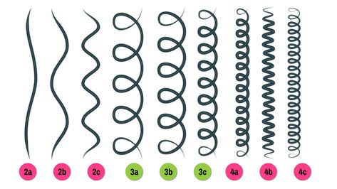 Tipos de rizos, patrones del cabello, 2a, 2b, 2c, 3a, 3b, 3c Curly 3b, 2a Hair, 3c Hair, Curly Girl Method, Curly Girl Hairstyles, Curly Girl, Rich Girl, Curled Hairstyles, Girl Hairstyles