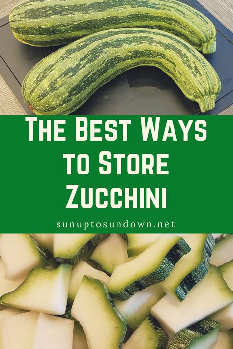 The best ways to store zucchini for your long-term food storage.  Don't let any zucchini go to waste! Best Way To Store Zucchini, How To Store Zucchini Long Term, Zucchini Storage, Store Zucchini, Long Term Food Storage, Better Homes And Garden, How To Store, Food Preservation, Zucchini Recipes