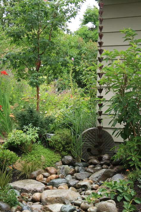 Rain Garden Landscape, Rain Garden Design, Rain Chains, Asian Landscape, Sustainable Landscaping, Eco Friendly Garden, Asian Garden, West Seattle, Eco Friendly Home