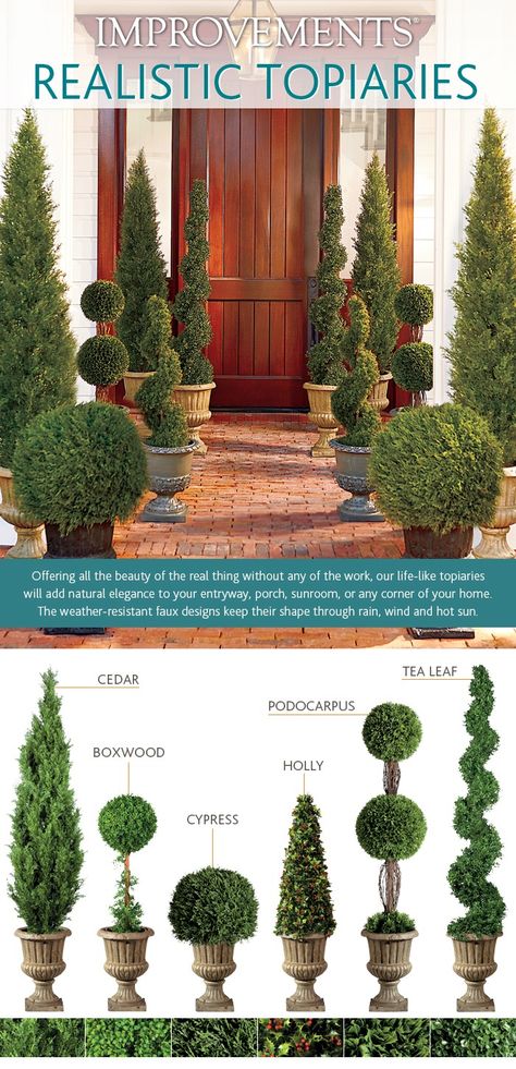 How to Choose a Topiary Infographic Plants In Pots, Topiary Plants, Topiary Garden, Topiary Trees, Tea Leaf, Have Inspiration, Front Garden, Dream Garden, Yard Landscaping