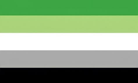 Aro Flag, Aromantic Flag, Trans Pride Flag, Trans Flag, Free Overlays, Lgbtq Flags, Lgbt Flag, Lesbian Flag, Sleepover Activities