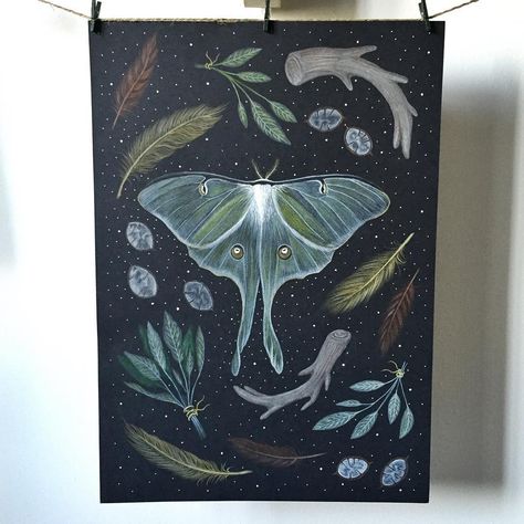 My original Luna moth piece has just been added to my etsy  #moth #Luna #art #etsy #drawing #originalartwork #illustration #sage #moon #feathers #lunamoth #pencil #thefloralfox Folk Nursery, Infp Core, Moth Luna, Pretty Bugs, Moth Artwork, Etsy Drawing, Luna Moths, Zen Doodles, Artist Problems