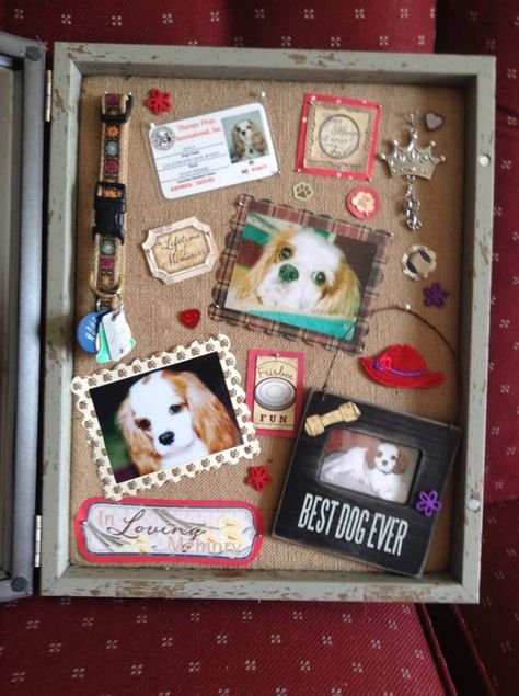 Shadow box for Scoutie. Lovely idea! Pet Shrine Ideas, Pet Memorial Ideas Dogs, Dog Shadow, Dog Shadow Box, Shadow Box Ideas, Ideas For Dogs, Memory Boxes, Cats Diy Projects, Pet Keepsake