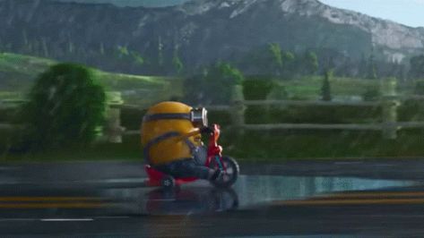 Spongebob Gifs, Funny Animations Videos, Minion Otto, Minion Banner, Minion Run, Whatsapp Gif, Minion Bike, Beste Gif, Car Gif