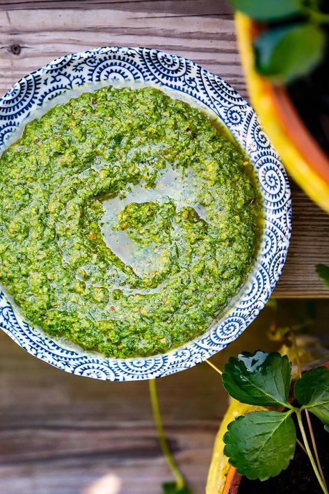 Chive Pesto | Well and Full Dairy Free Pesto, Homemade Pesto Sauce, Sauce Pesto, Basil Pesto Recipes, Walnut Pesto, Tomato Pesto, Pesto Chicken Pasta, Homemade Pesto, Easy Paleo