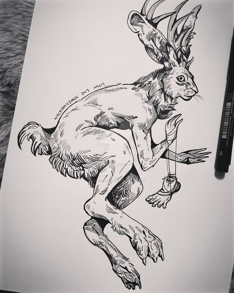 Vanitas Paintings, Hare Illustration, Rabbit Drawing, Mushroom Tattoos, Rabbit Tattoos, Art People, Rabbit Art, Character Design Animation, Skull Art