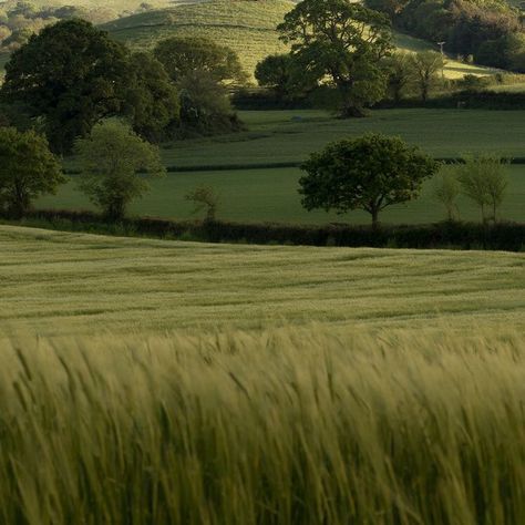 Rural Aesthetic, Aesthetic Farm, Pretty Landscapes, Green Valley, Green Nature, Nature Aesthetic, Pretty Places, Green Aesthetic, Pretty Pictures