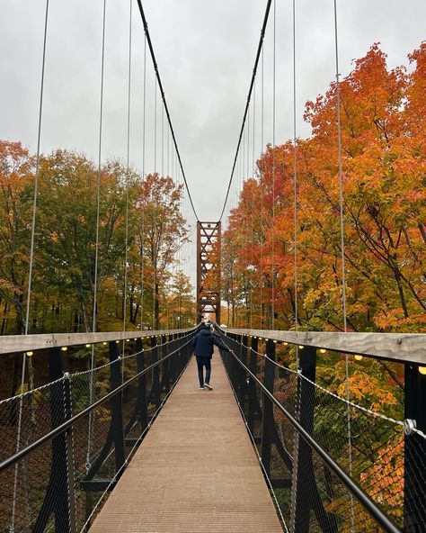 SkyBridge Michigan, northern Michigan, fall getaway, Midwest getaway, things to do in Michigan, fall aesthetic, autumn leaves Up North Michigan Fall, Michigan Things To Do, Skybridge Michigan, Aesthetic Autumn Leaves, Michigan Aesthetic, Midwest Getaways, Filler Aesthetic, Things To Do In Michigan, Michigan Fall