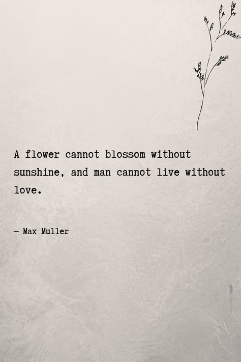 Men Deserve Flowers Too Quotes, Flower Love Quotes Relationships, Quote About Flowers And Love, Poems About Sunshine, Sunshine Love Quotes, Love Quotes Flowers, Flower Poem, Flower Jar, Flowers For Men