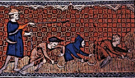 Medieval Farming 7 Medieval Farming, Feudal System, Medieval Peasant, Winter Crops, King Do, Medieval Life, History Images, Medieval Manuscript, Medieval Times